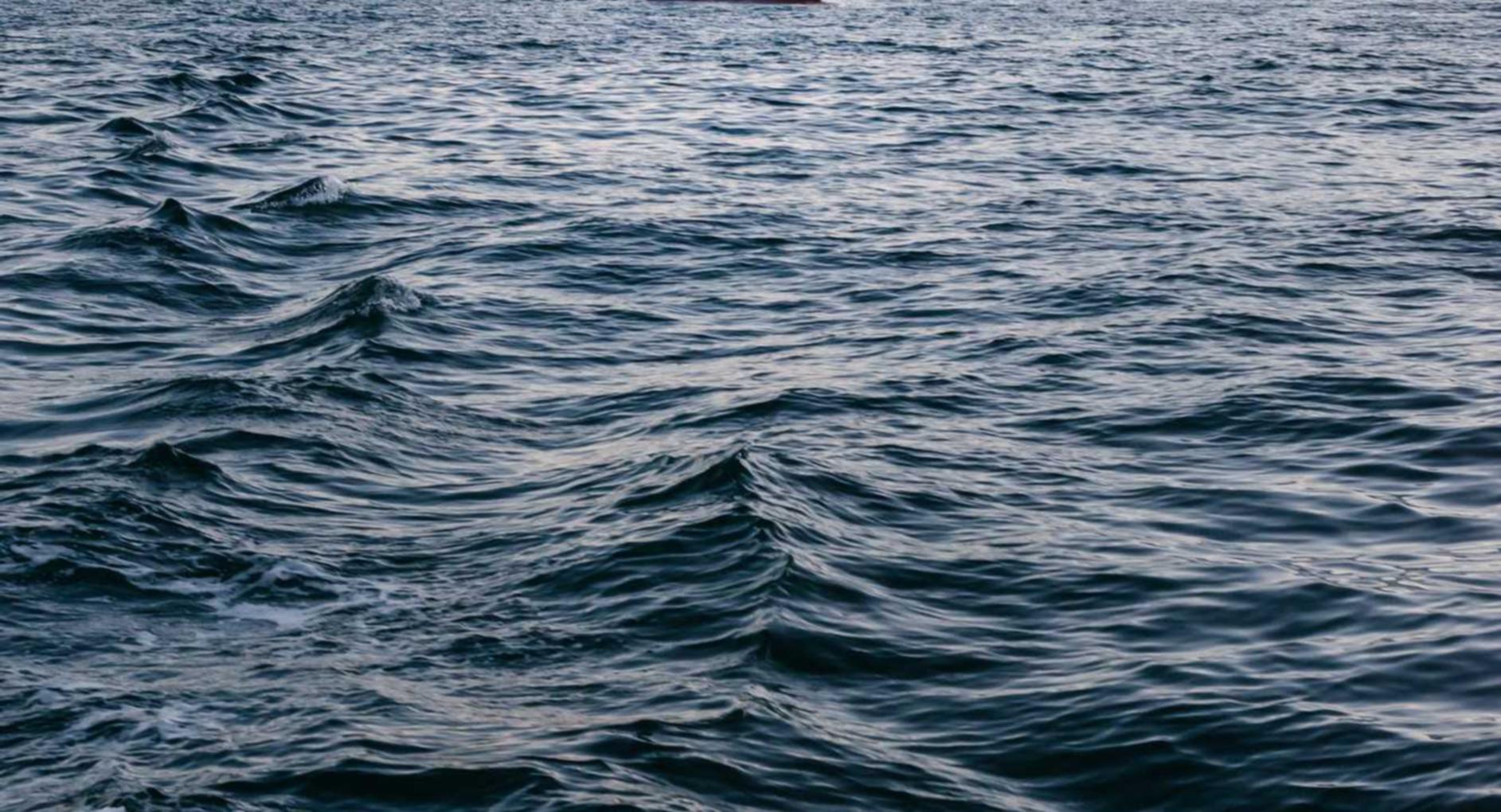 多利平阳小型会计代理平台