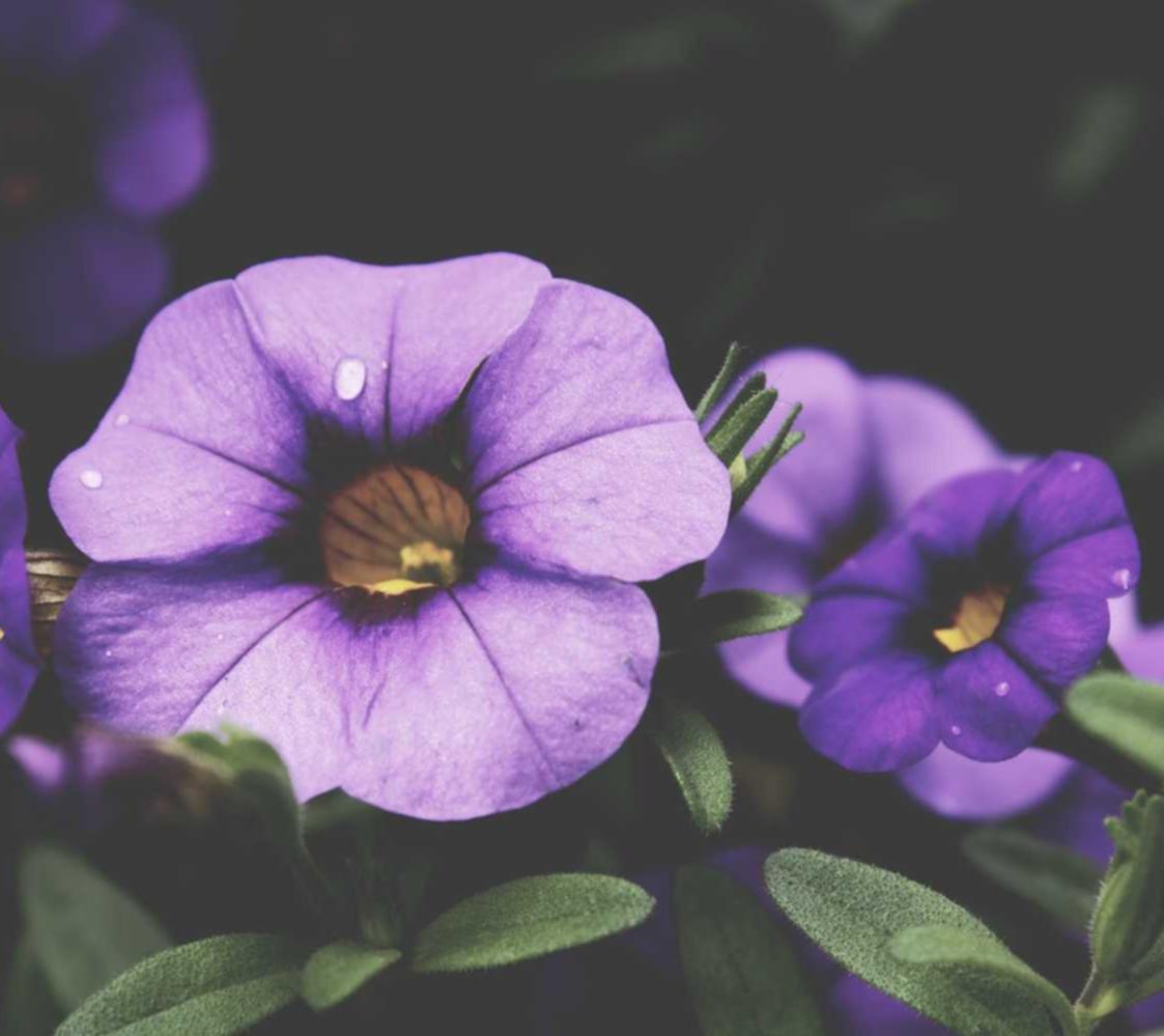 中国联通实名账号:如何利用短信平台创造良好的品牌形象?