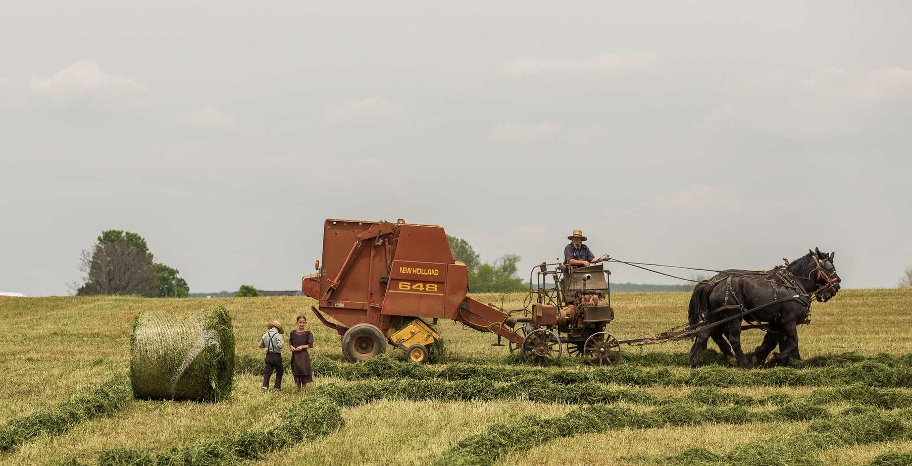 在线DDOS平台攻击|黑客攻击的来源：谁能是威胁？