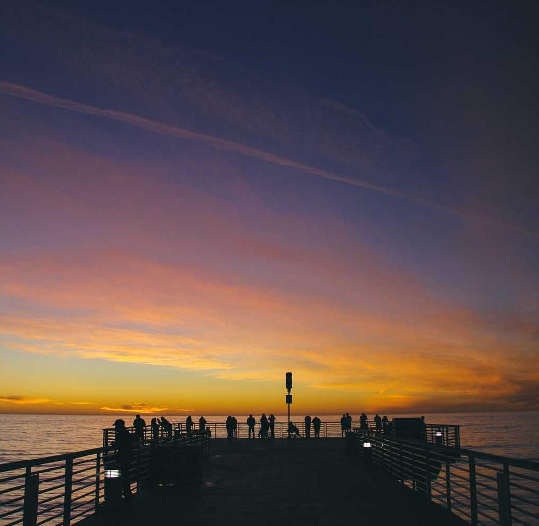 新城详情下载教程道禧app