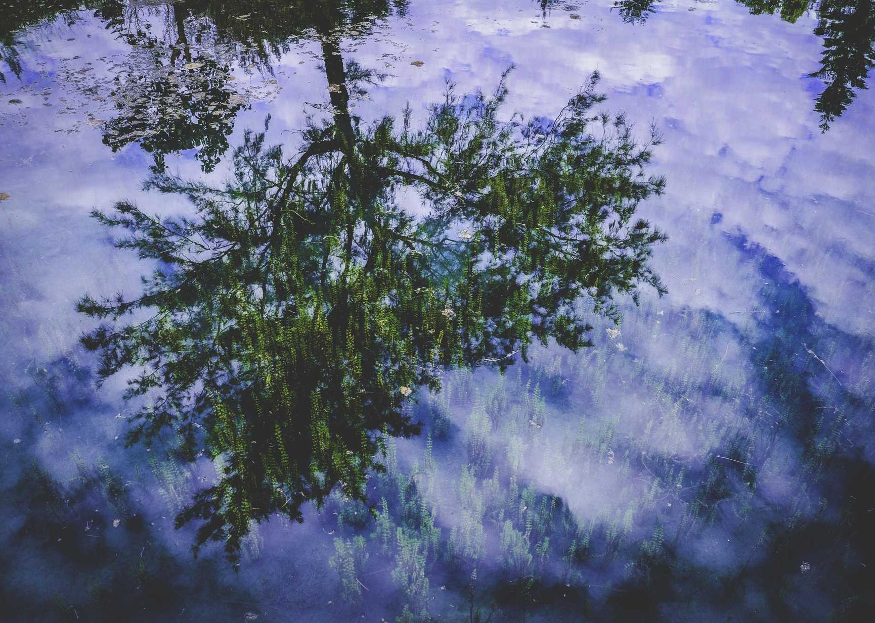 Telegram云控系统实名账号：台州企业工商代理平台