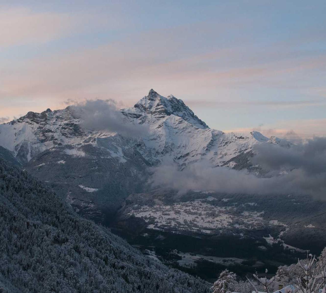 WX老号发卡网：代理的农产品如何注册商标