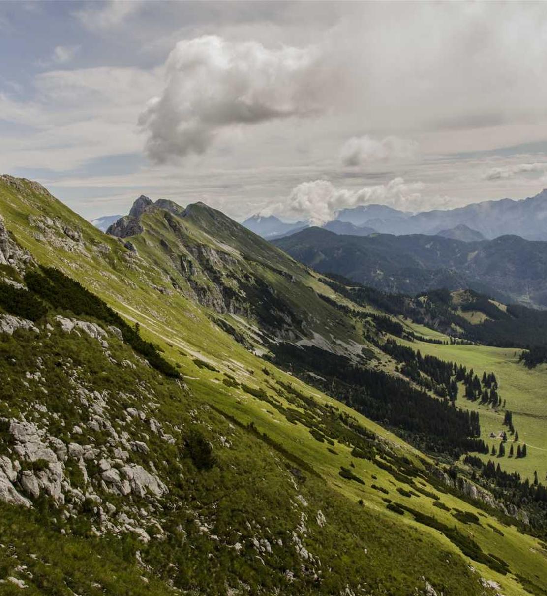 沐鸣3app详情下载教程地址怎么弄