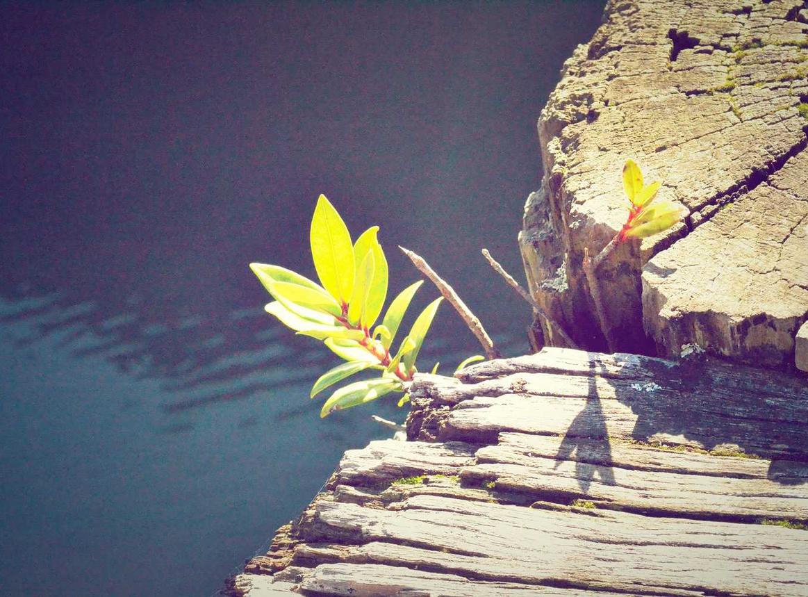 香烟对孕妇的影响和影响哺乳期