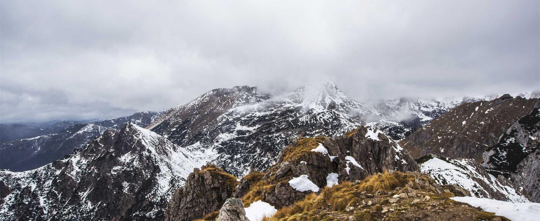 金铲铲之战：汉口北代理注册商户