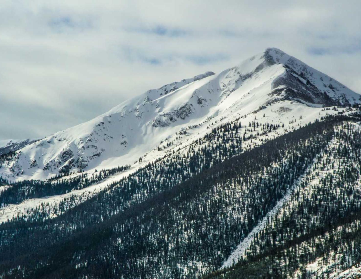 V粉卡实名账号:手项目规划app详情下载教程