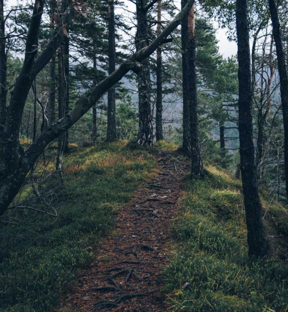 实名流量卡买卖：实名账号与互联网治理