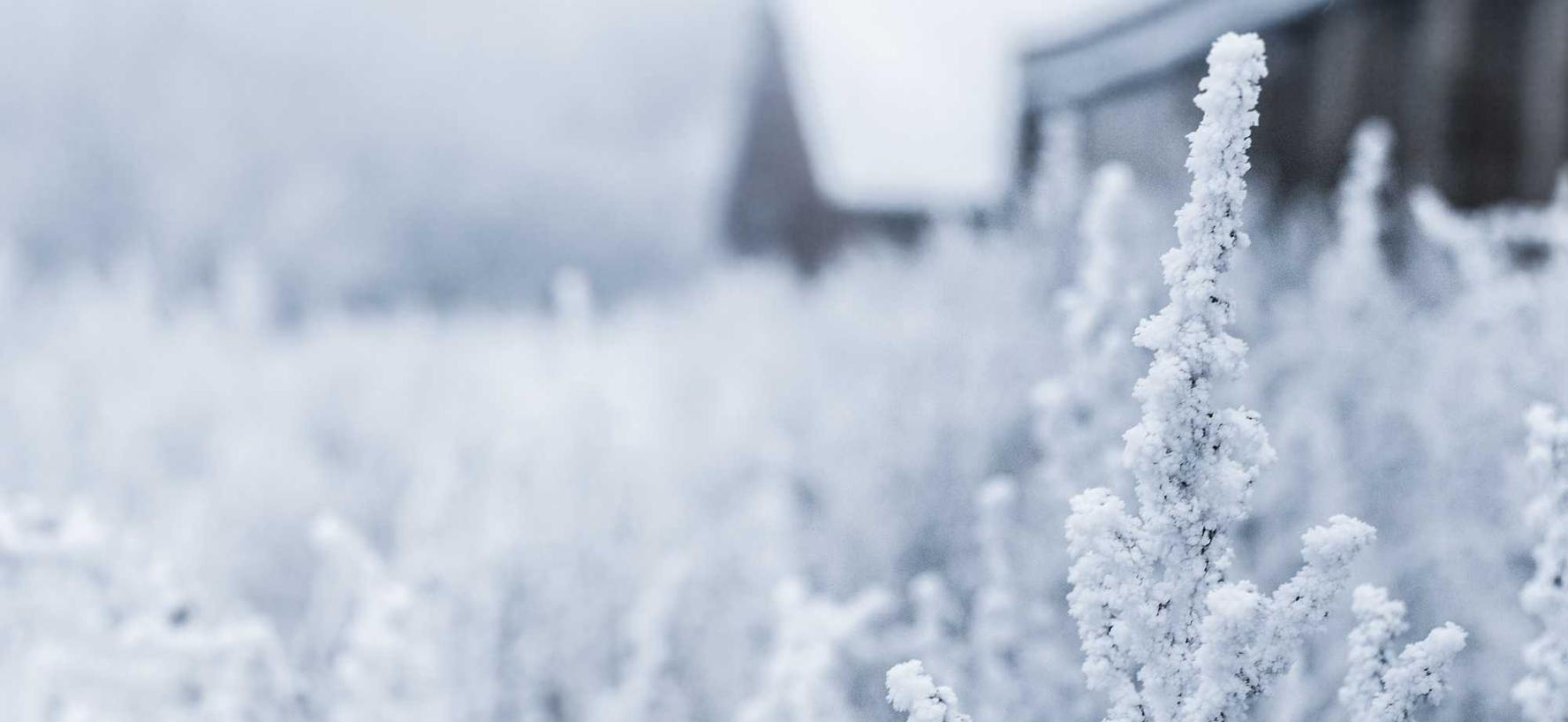 一笑江湖：宁波英国公司注册代理开户