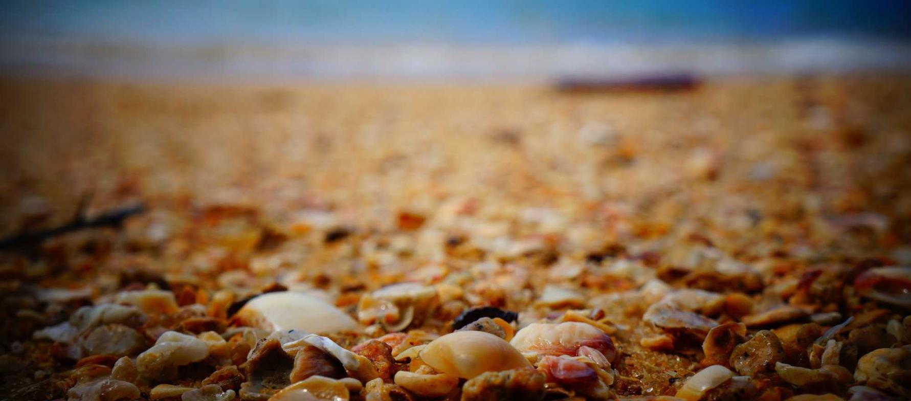 天九2河南创新货物运输代理平台