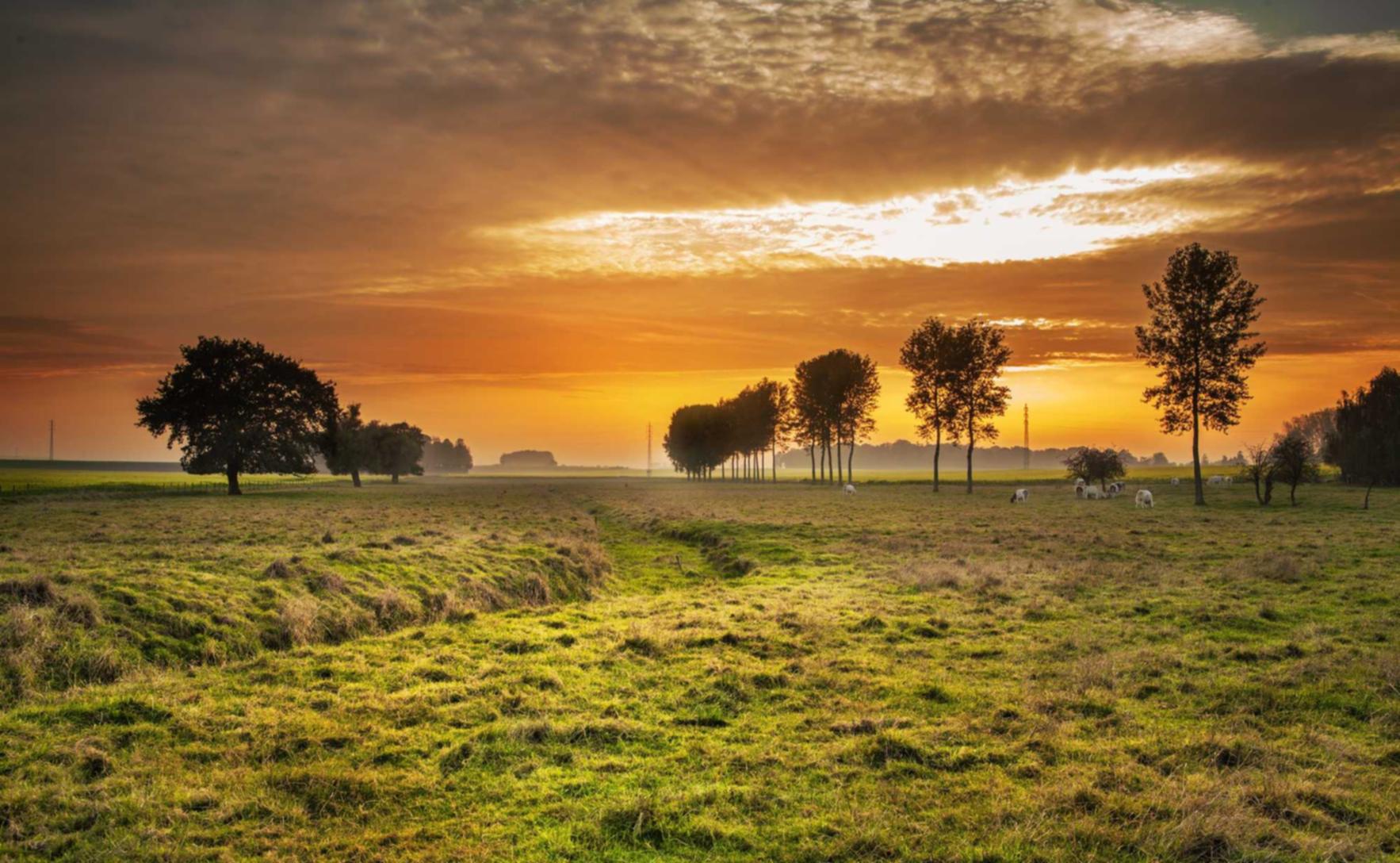 微信批发:如何通过短信营销增加转化率