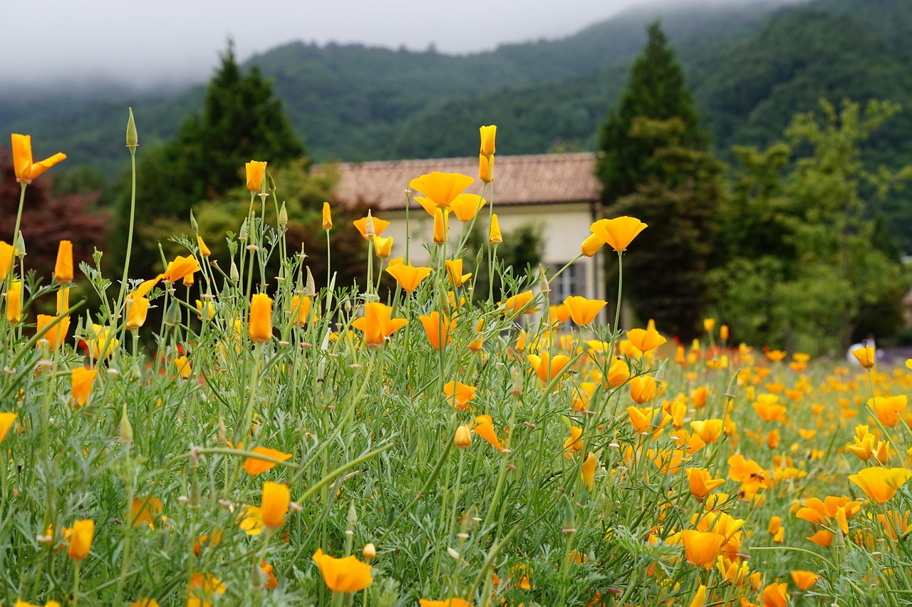 皇马永嘉注册代理记账咨询师
