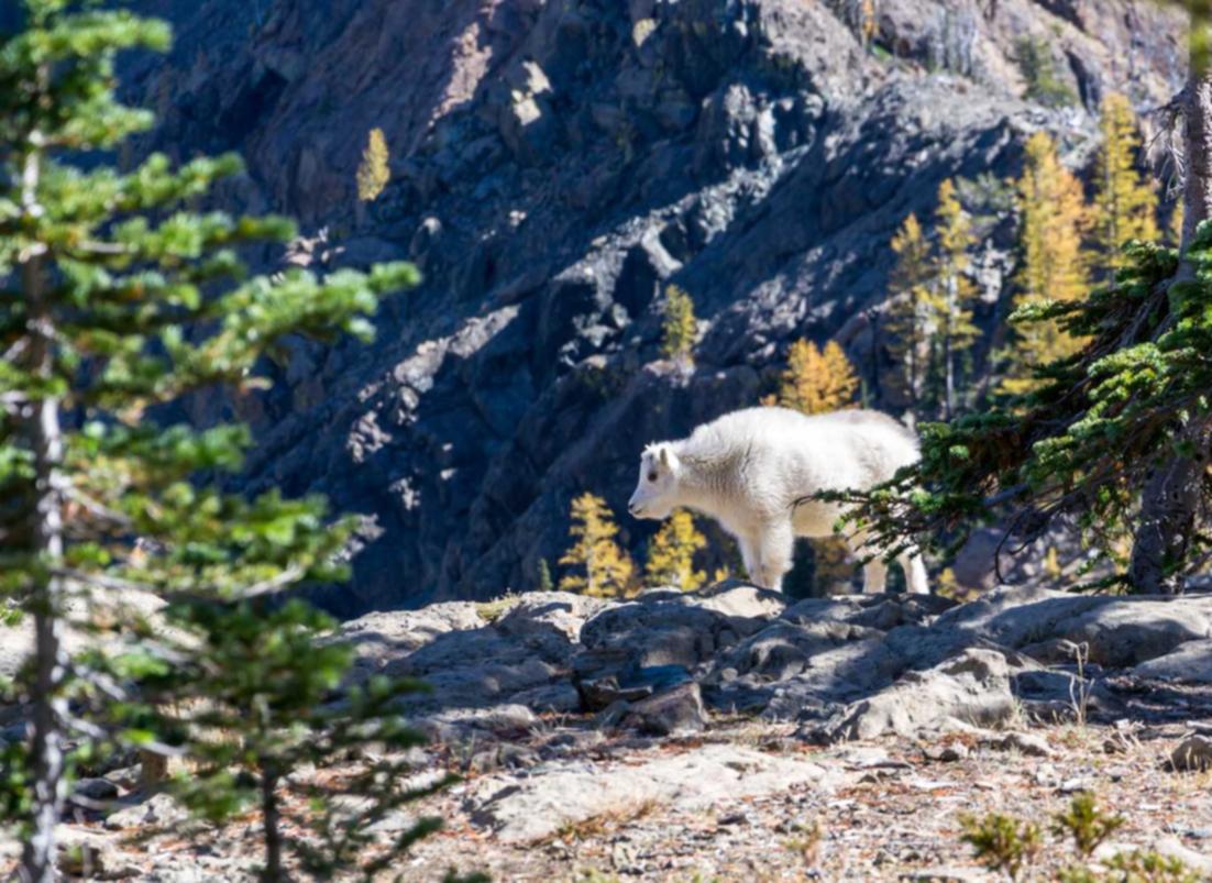 如何通过短信优化顾客体验