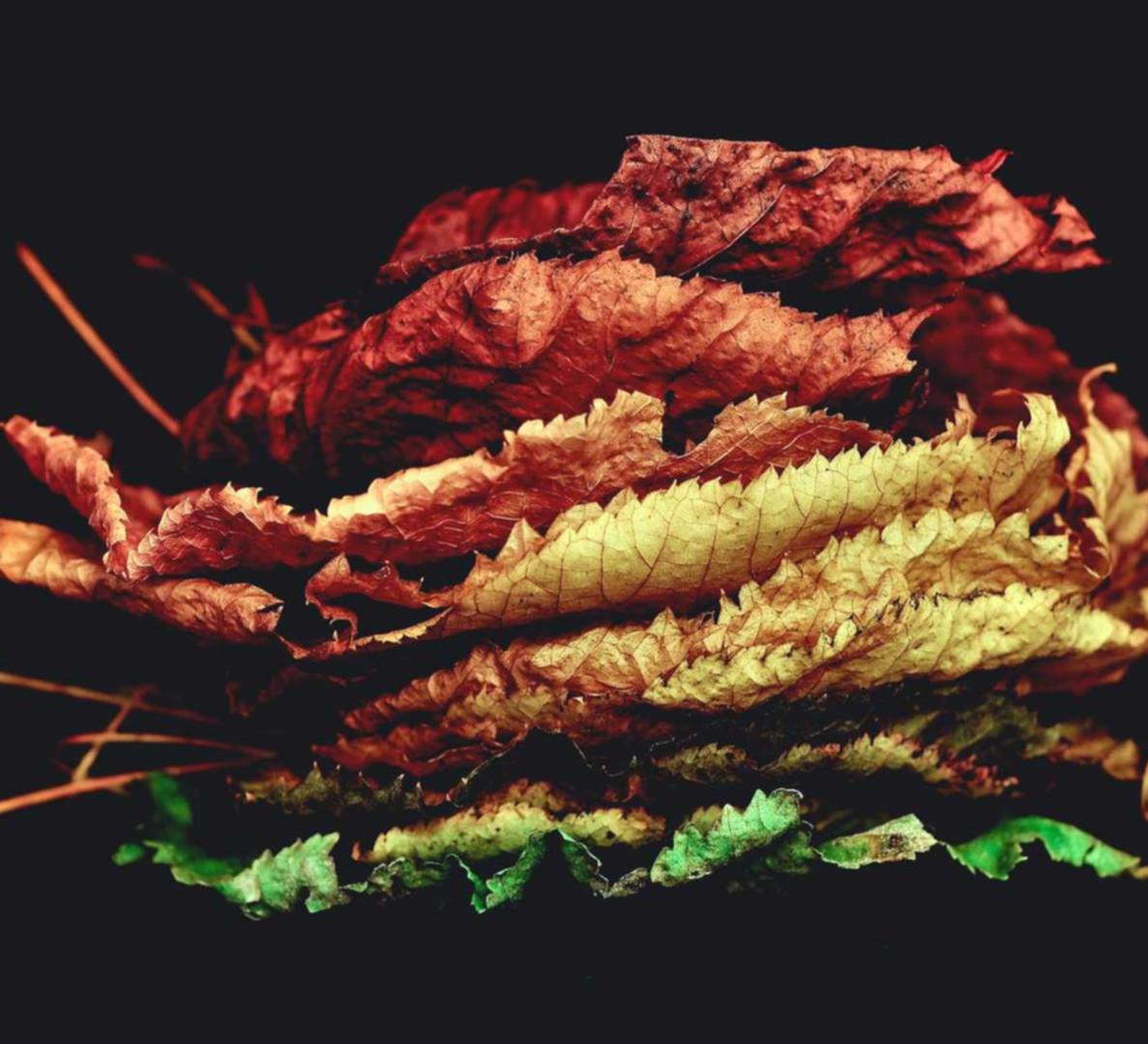 懂的通信实名账号：有什么平台做代理赚钱的