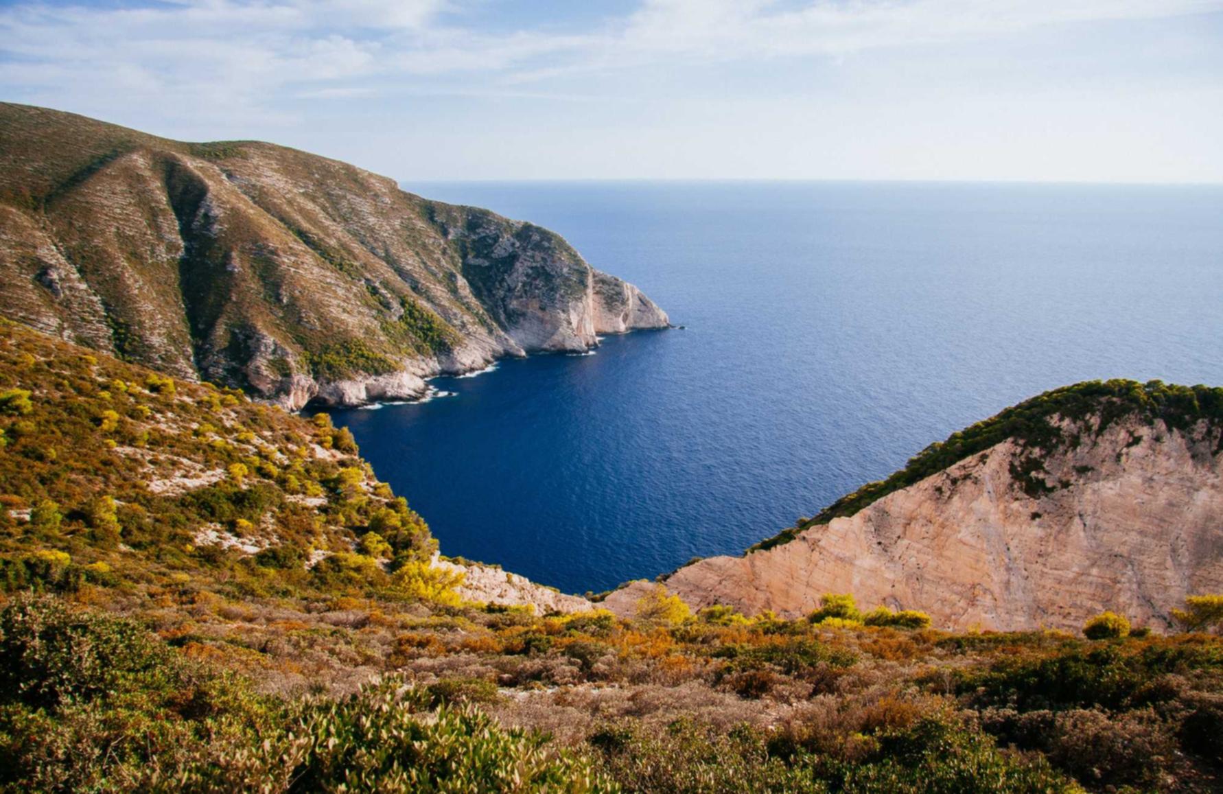 罗密欧2号（50支）：平台证券开户流程步骤