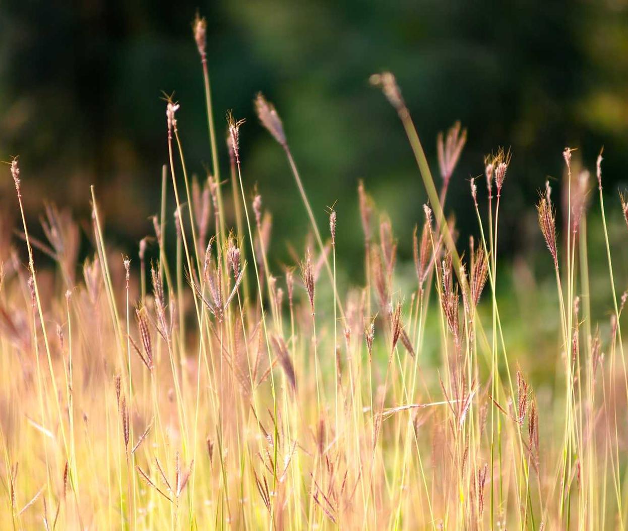 DDOS在线压力测试|设备大小并不代表防御能力