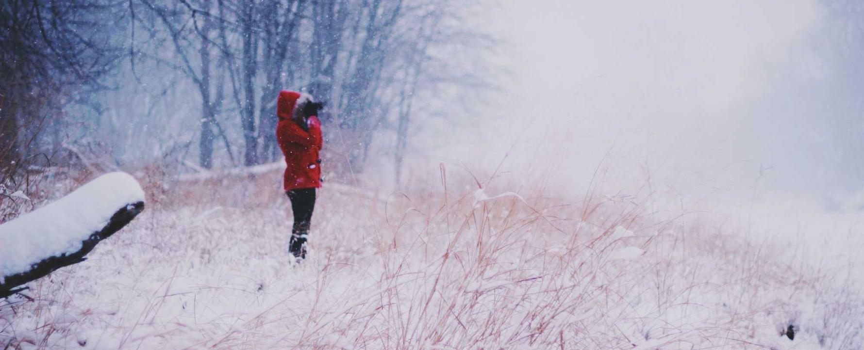 DDOS压力测试|注册谷歌账号要多少元以内