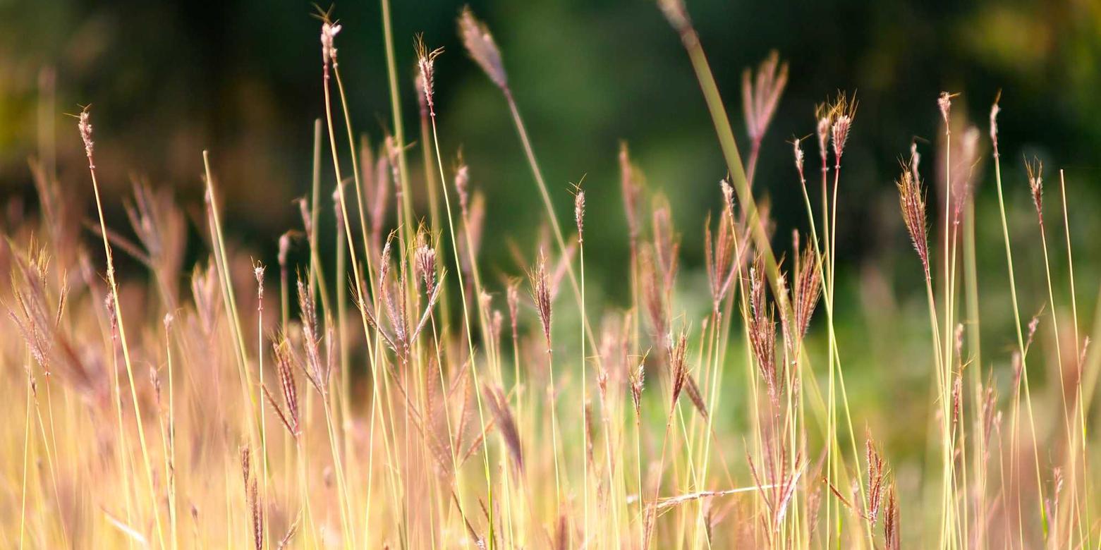 香烟对心理健康的影响研究