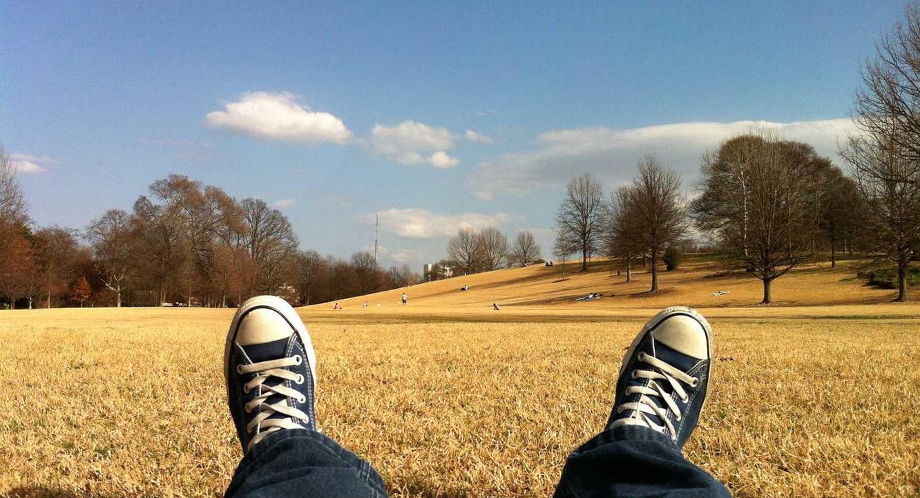 长生诀辅助- 风行电视app详情下载教程