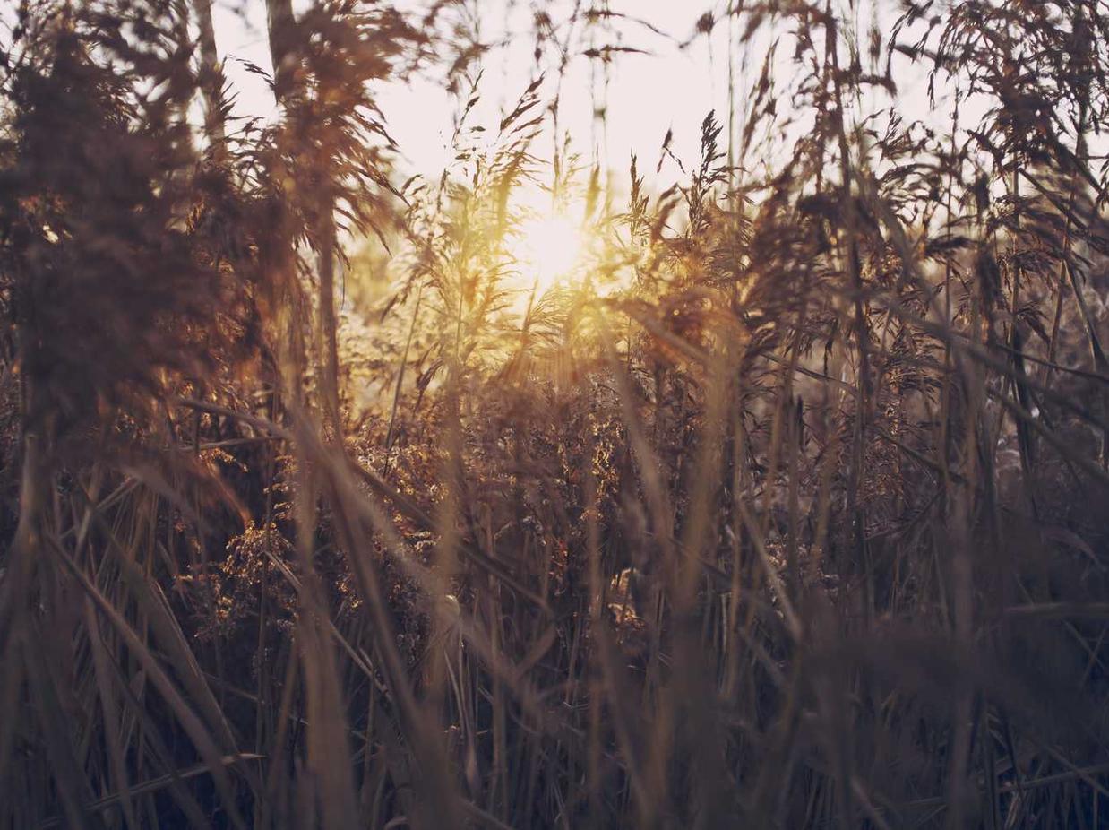 简信实名账号：实名认证，为电子商务提供信任保障