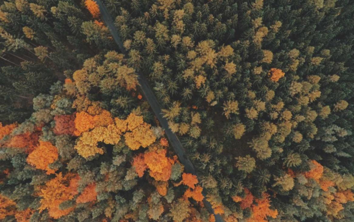 玩家们对游戏和技术支持的抵制和反对