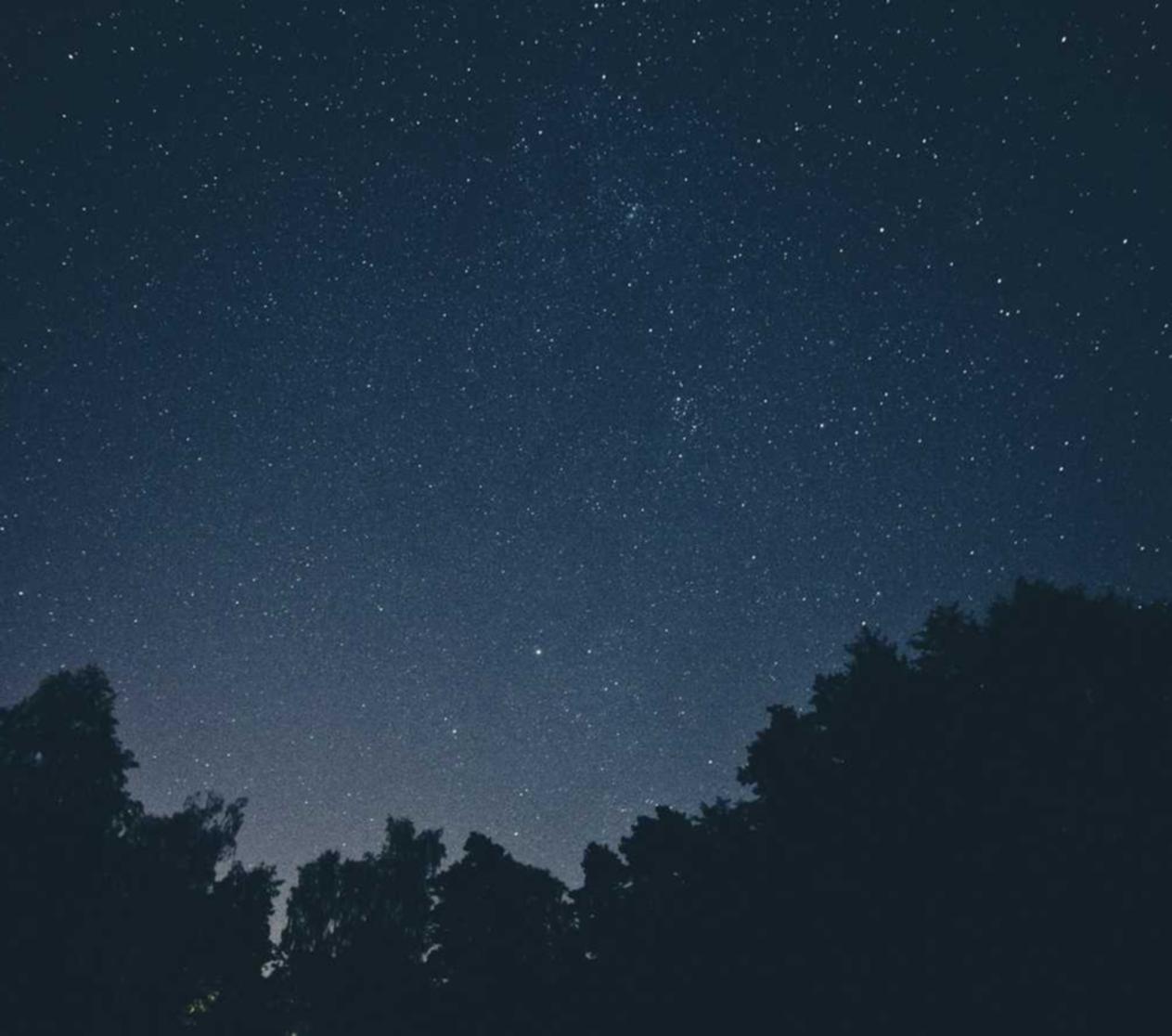 辰溪美食购买平台