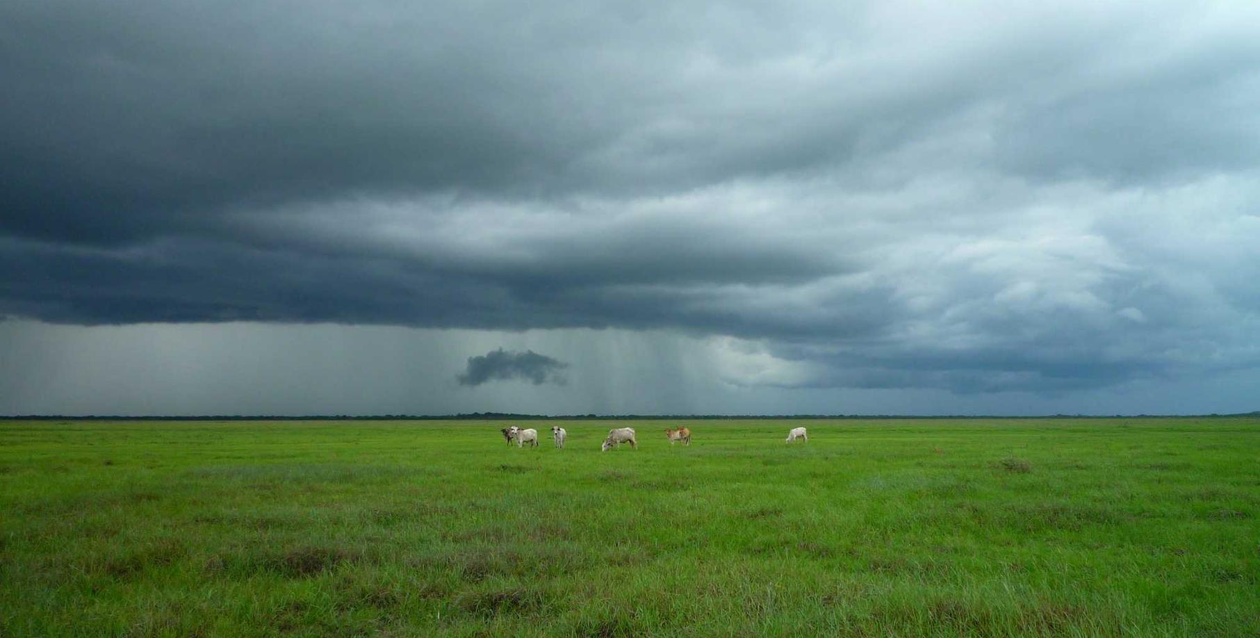欧洲快递代理平台