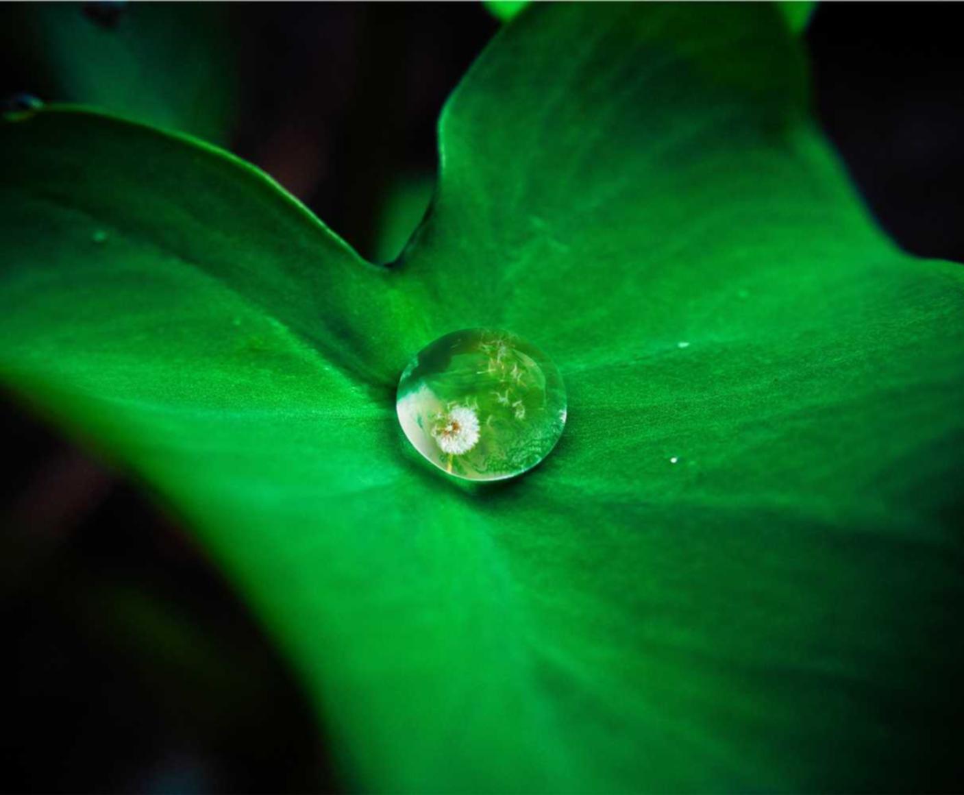 最受欢迎的SEO工具，帮助您提升网站排名