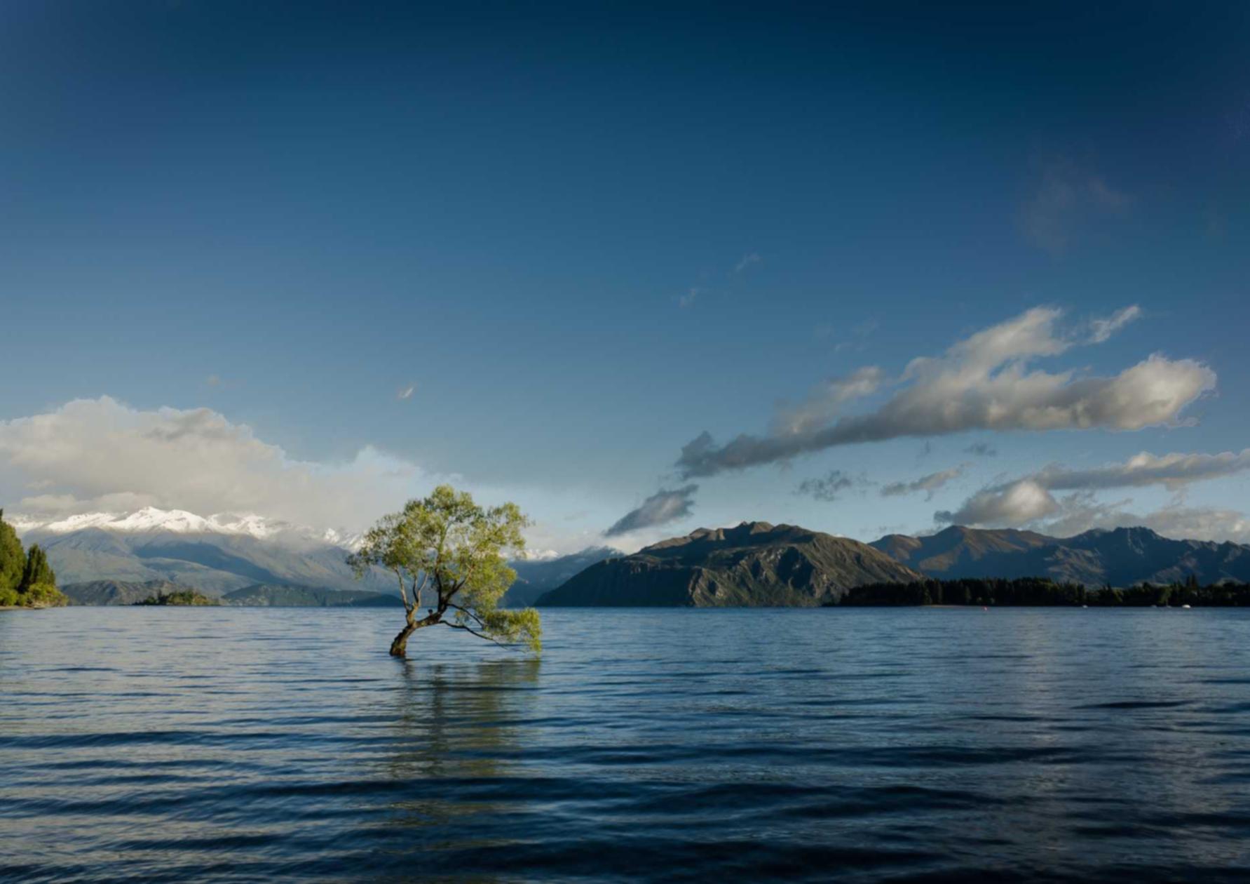微信买卖小号：开户账号怎么查看手机号