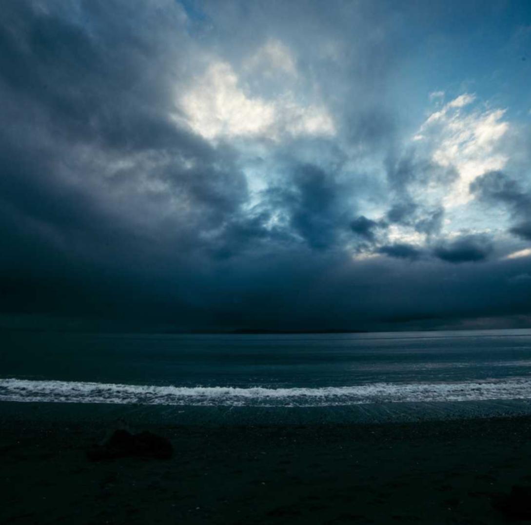 宠物购买平台设计