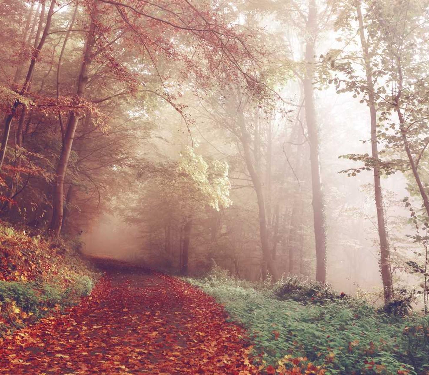 学生实名三网卡- 鞋子测评购买平台