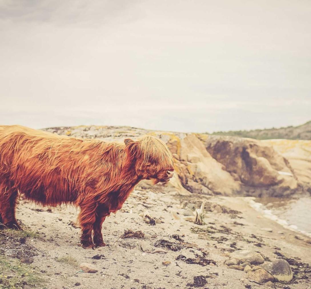 和天下如何进行基于数据的营销测试?