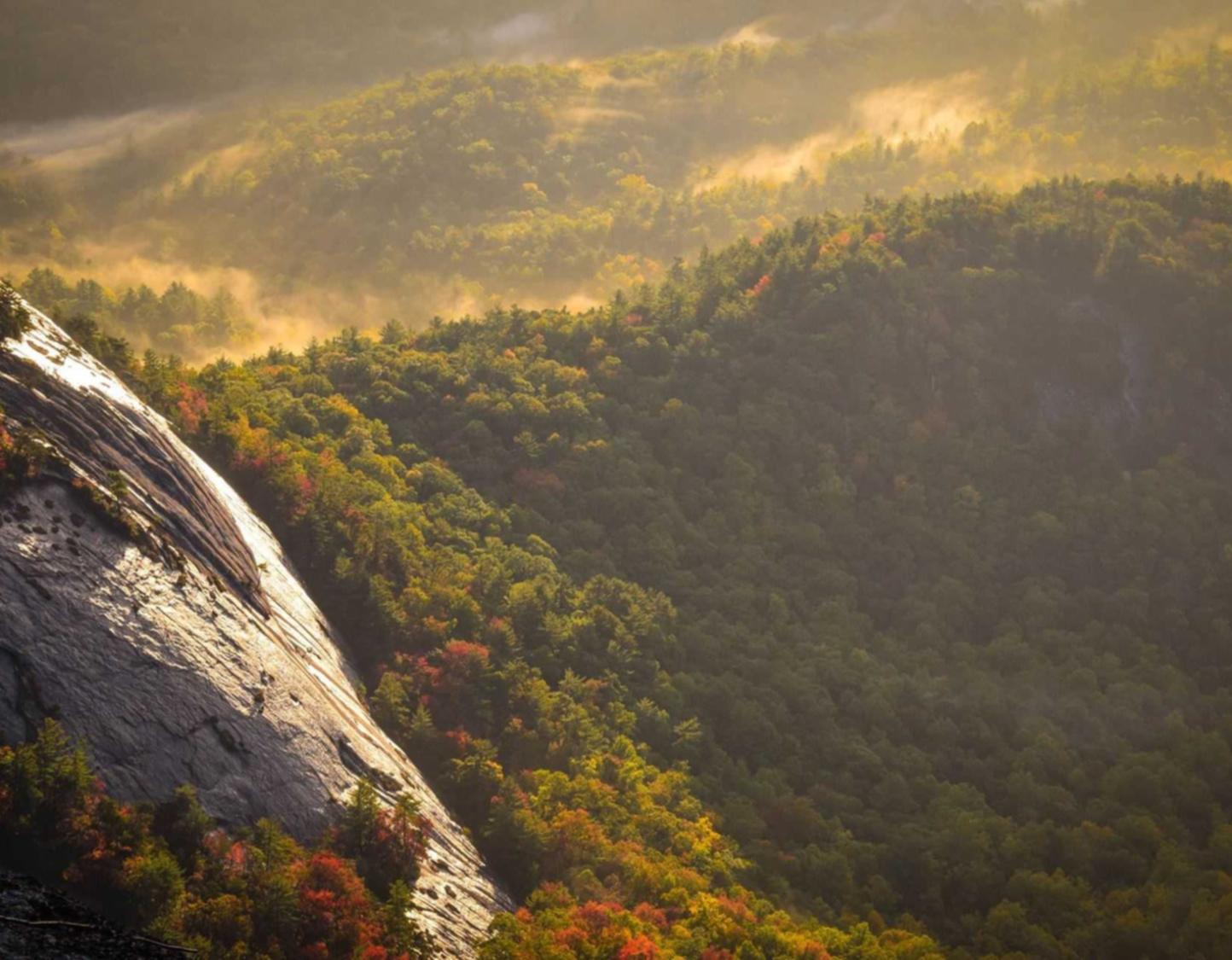 各样老微信买卖：购买永久邮箱注册账号