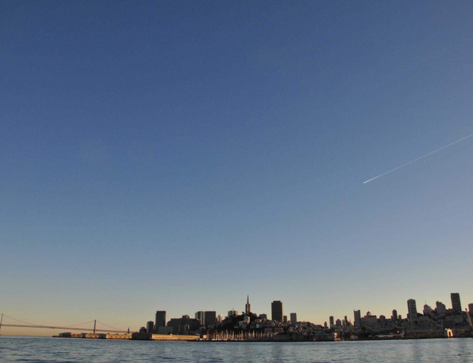 琳琅邢台狗狗购买平台