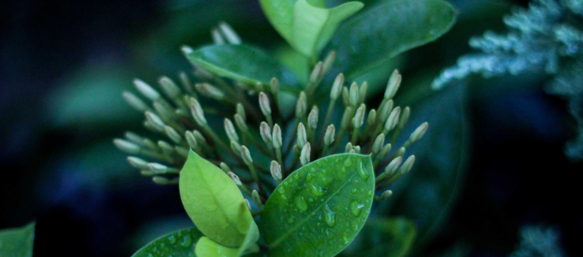 买卖微信号:怎么样执行一个成功的短信营销计划