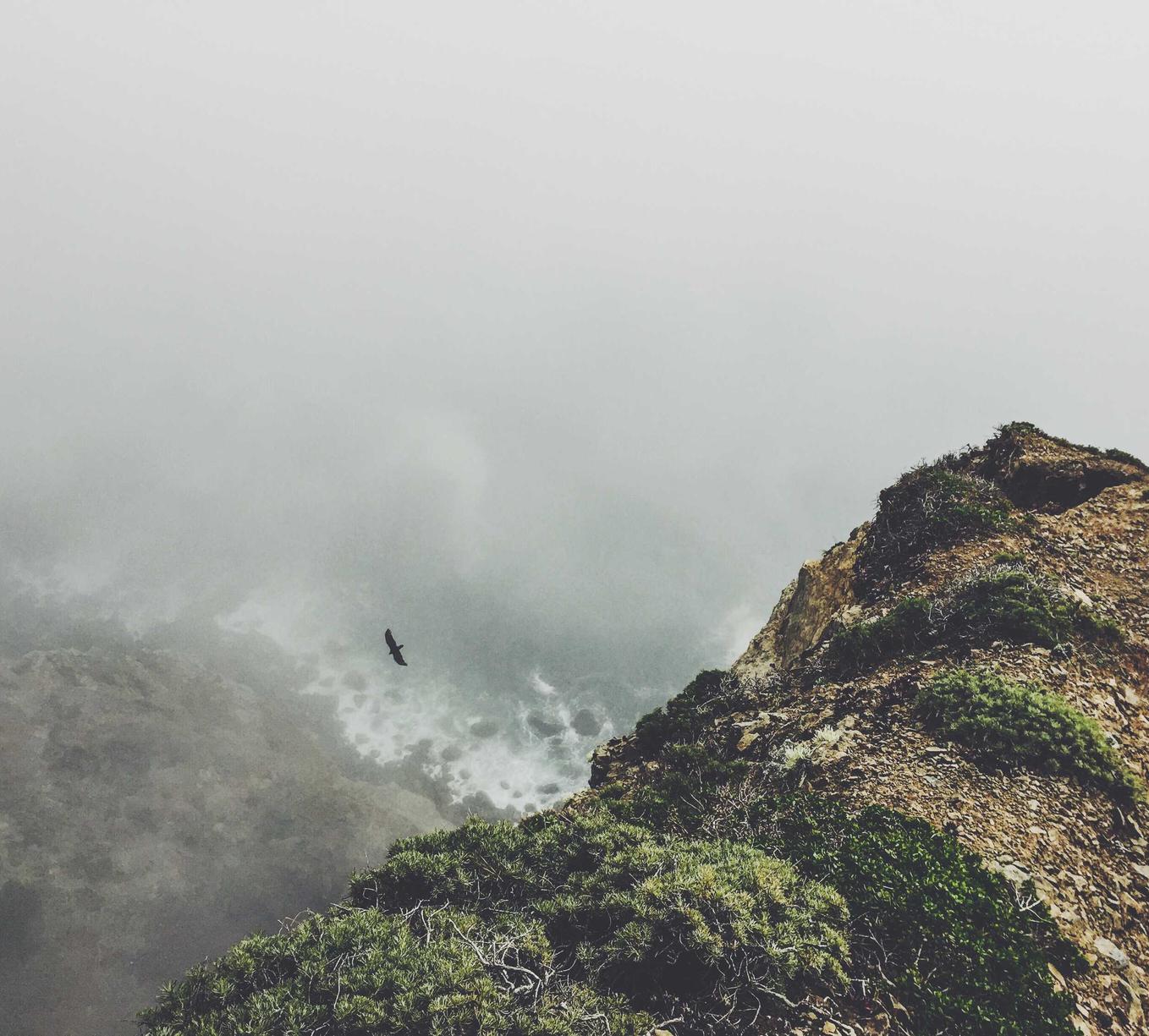 四方上海肉类购买平台