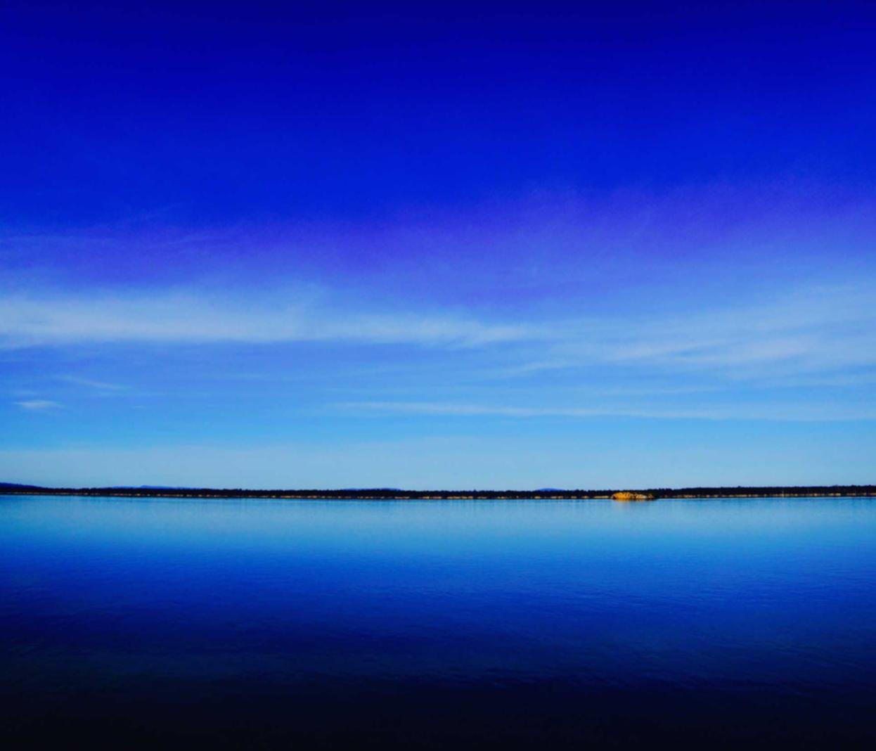 南宁名人书画电商平台代理