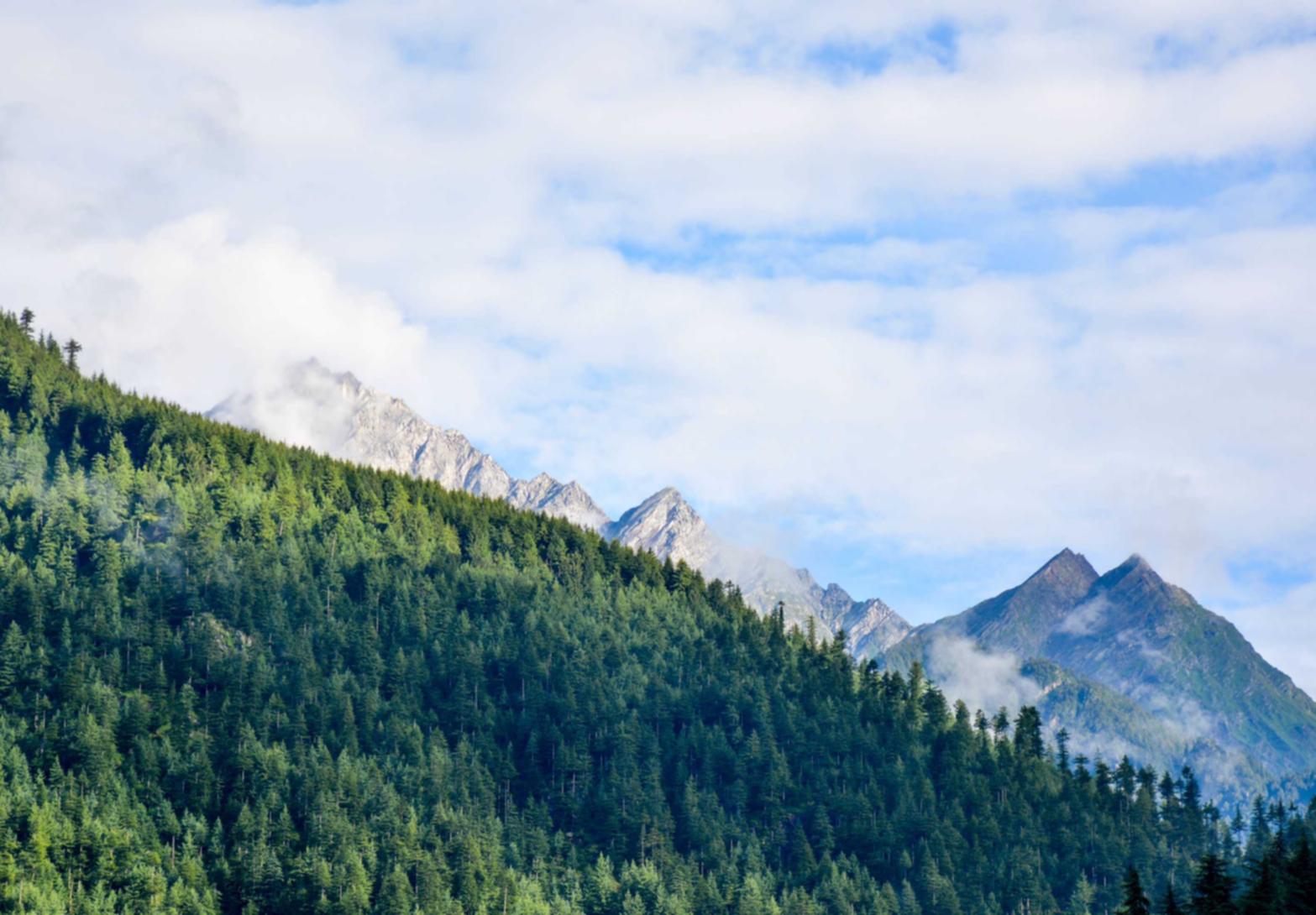 关于网站内容开发和SEO可以做哪些事情 