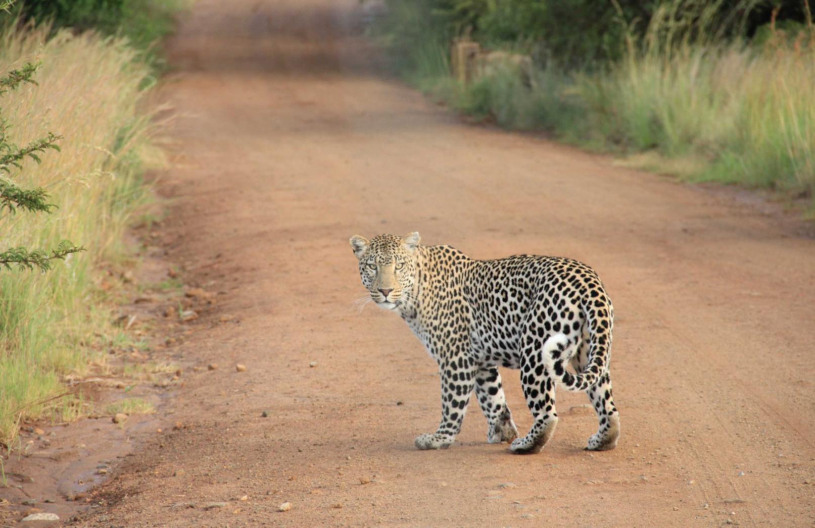 宝塔实名账号：美国渔具购买平台