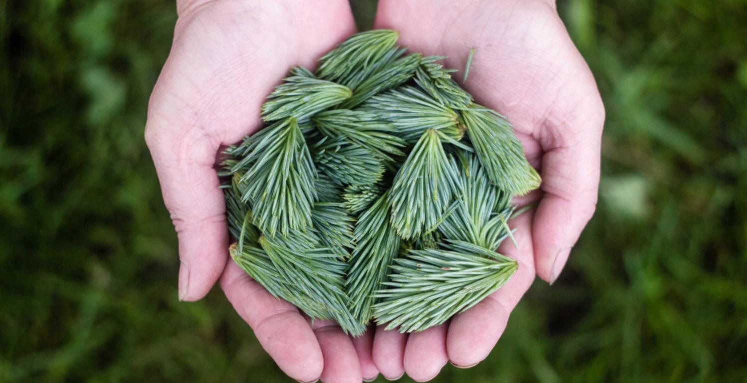 沃派星燃卡实名账号：浙江办理会计代理平台