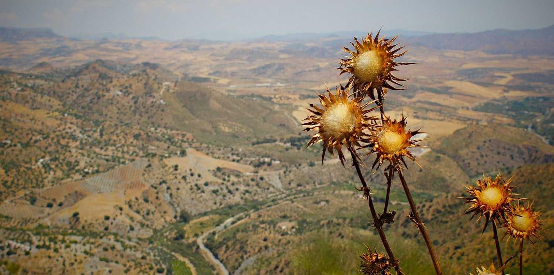 金洋2号登陆app详情下载教程