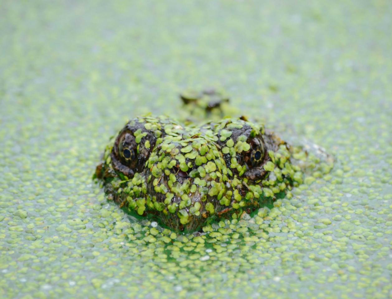 网信移动实名账号：怎么详情下载教程伊利APP