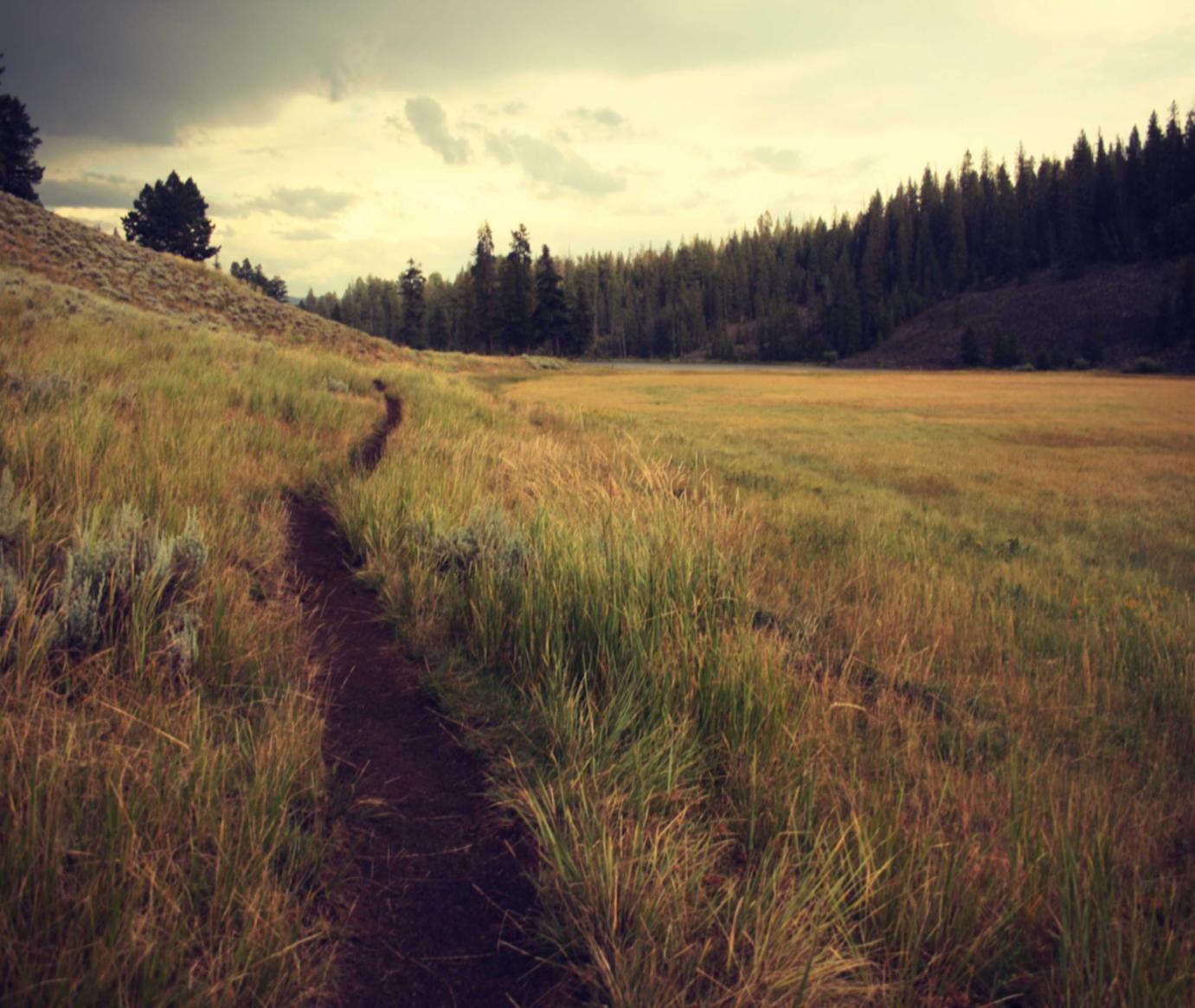 无需实名上网卡：蓝牙音箱app详情下载教程