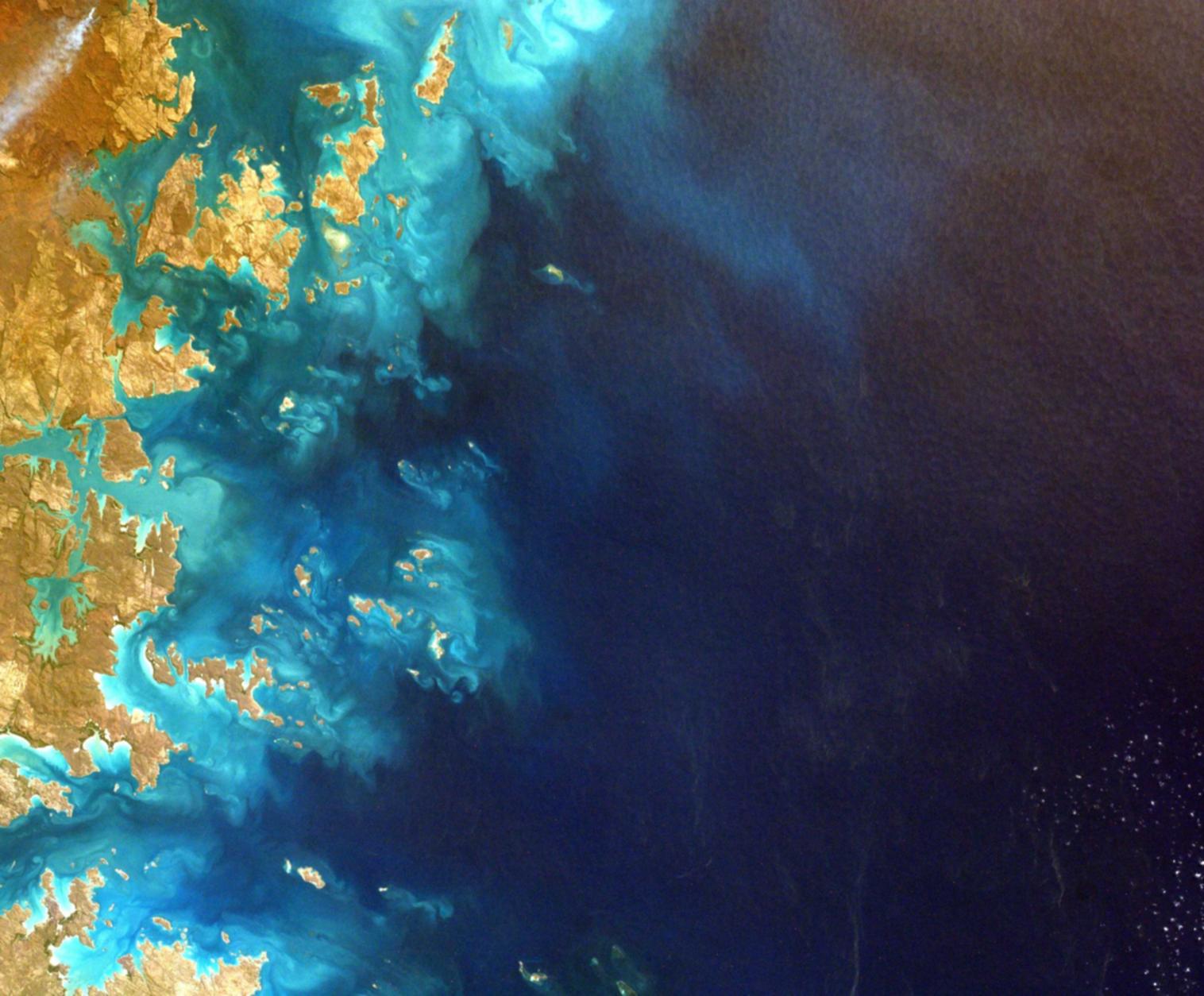 欧米茄外网购买平台