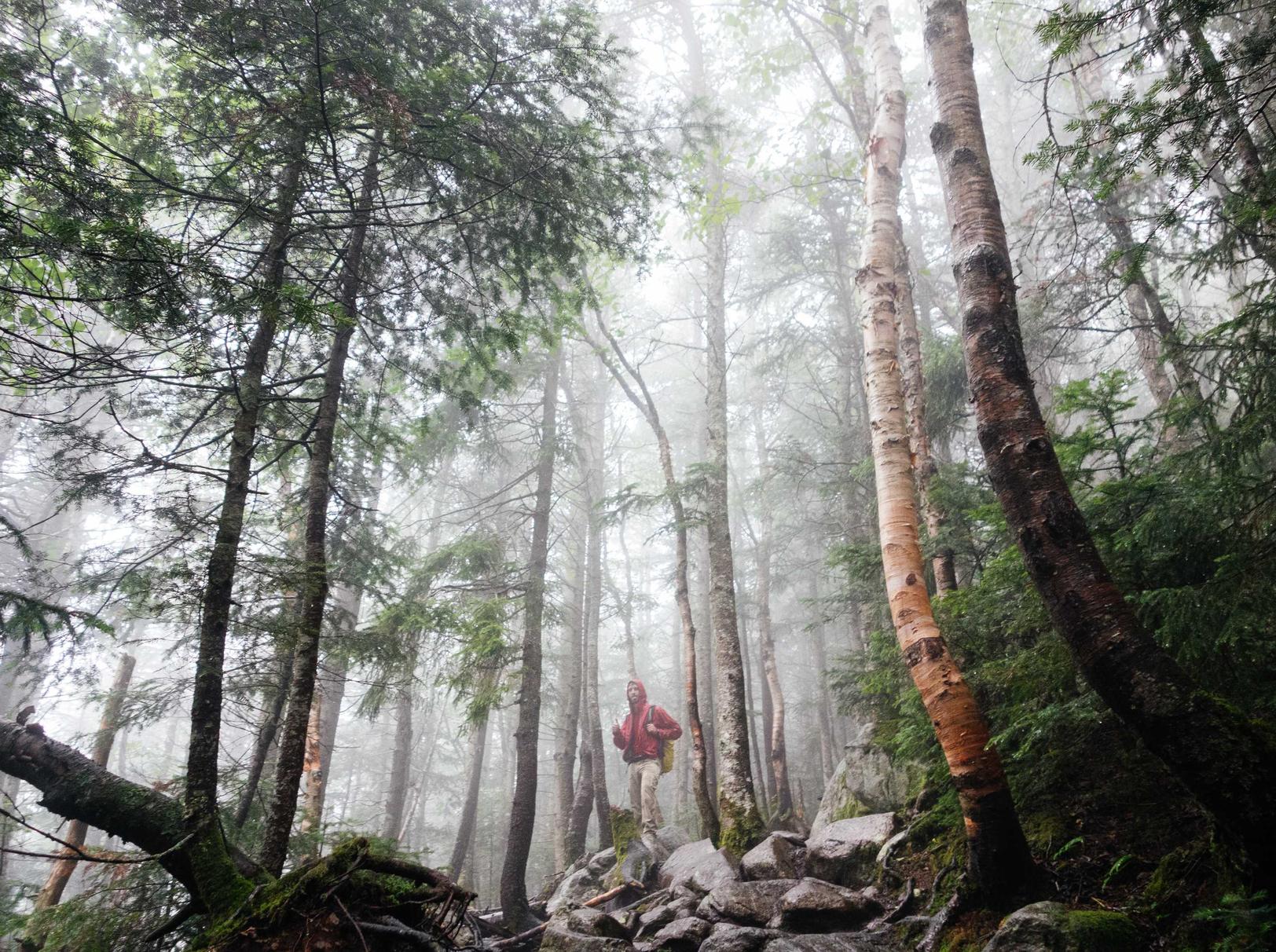 盛煌今日头条广告账号注册不了