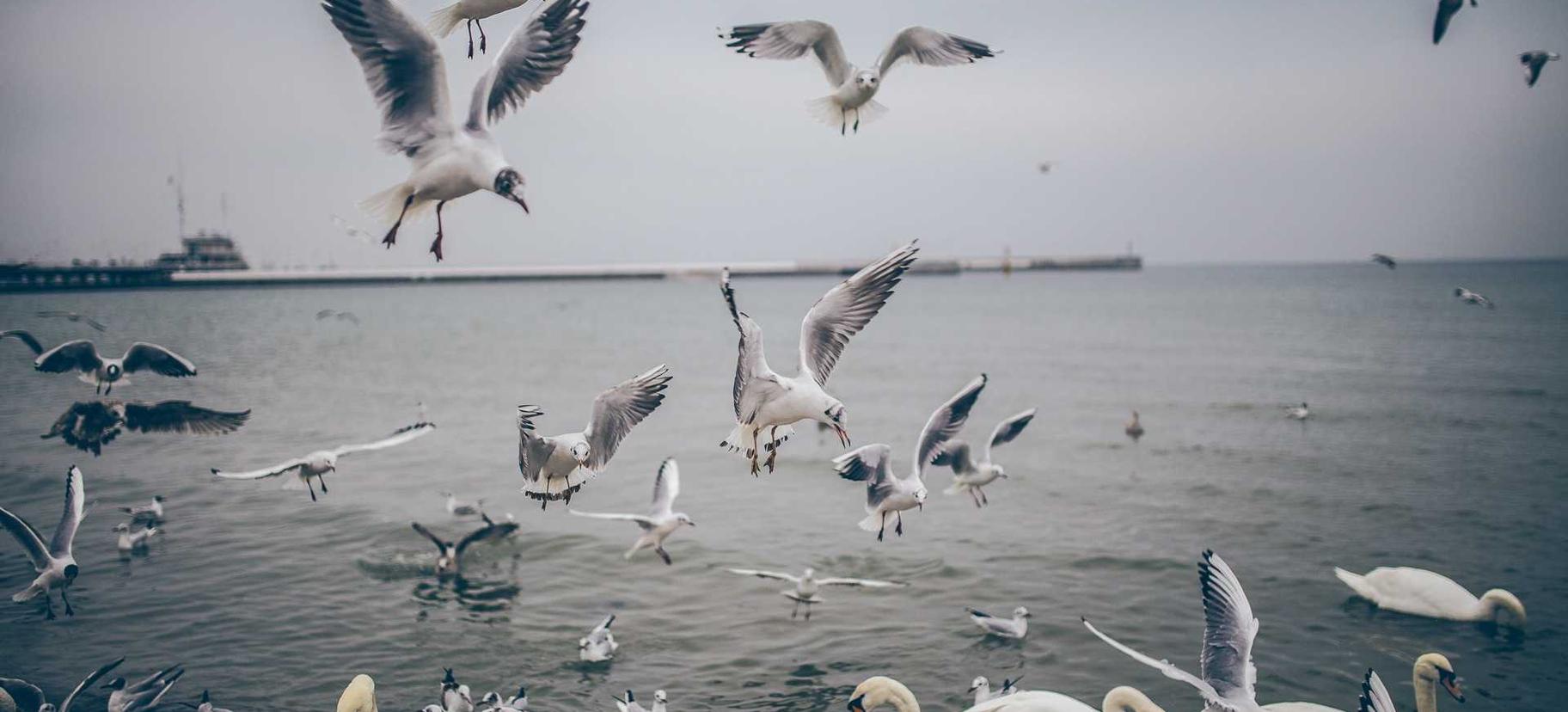 魔方云实名账号：抖音商标注册代理电话多少