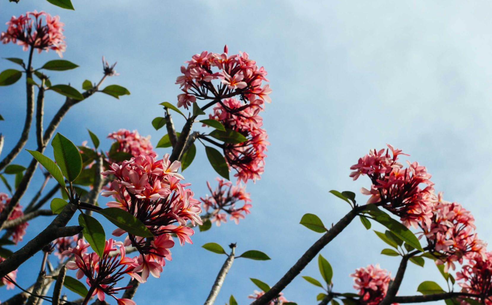 tcp攻击|大邑公司注册代理价格查询