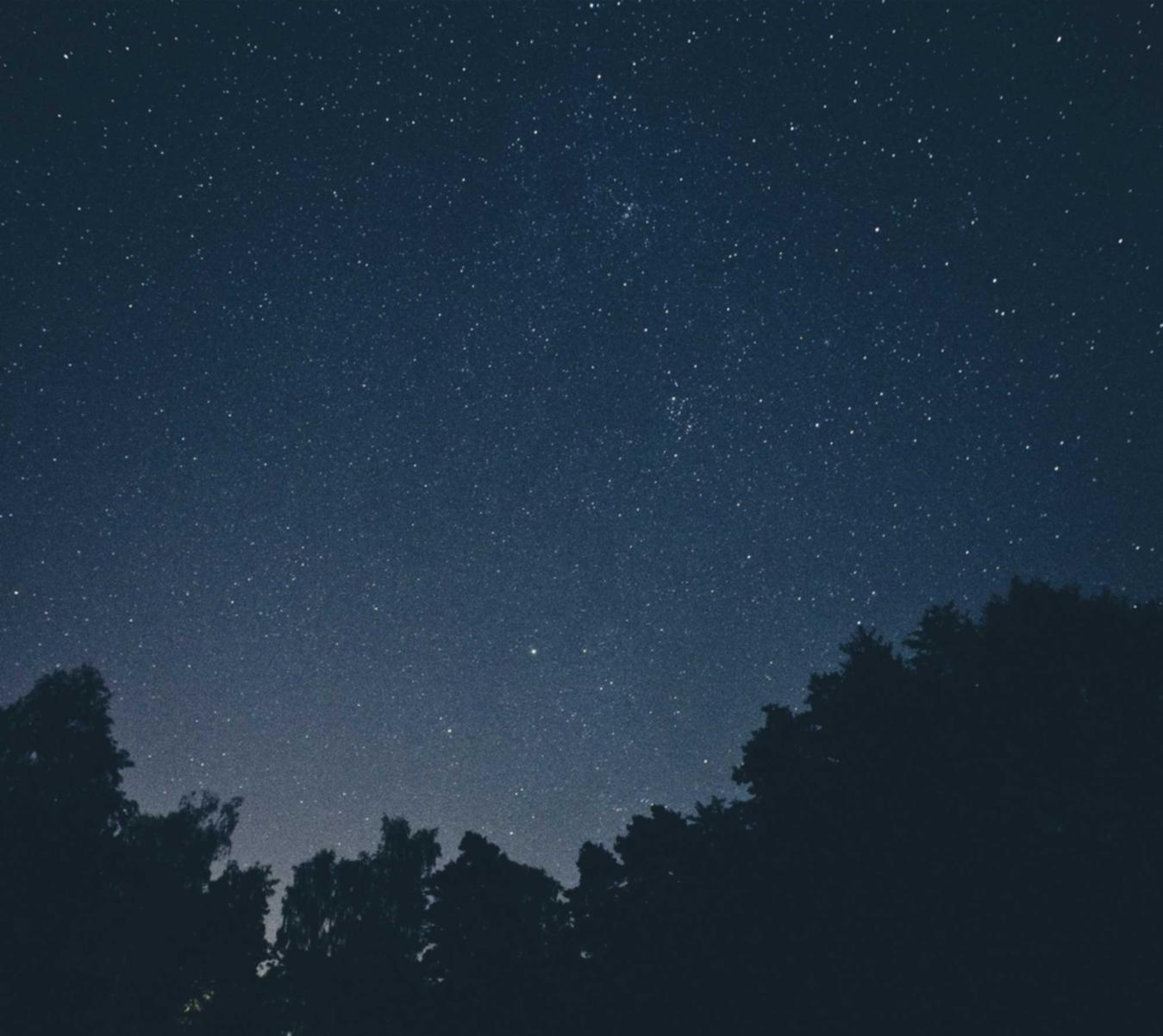 日税金鼎长和平：政好办app详情下载教程