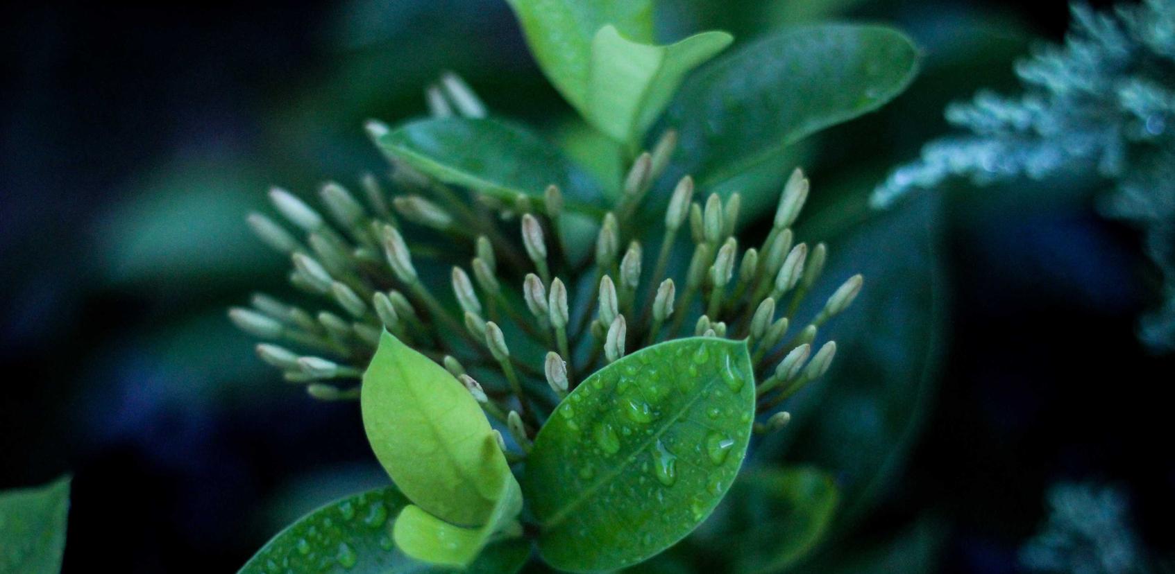 玩家在使用技术支持的时候，需要注意的几大要素！