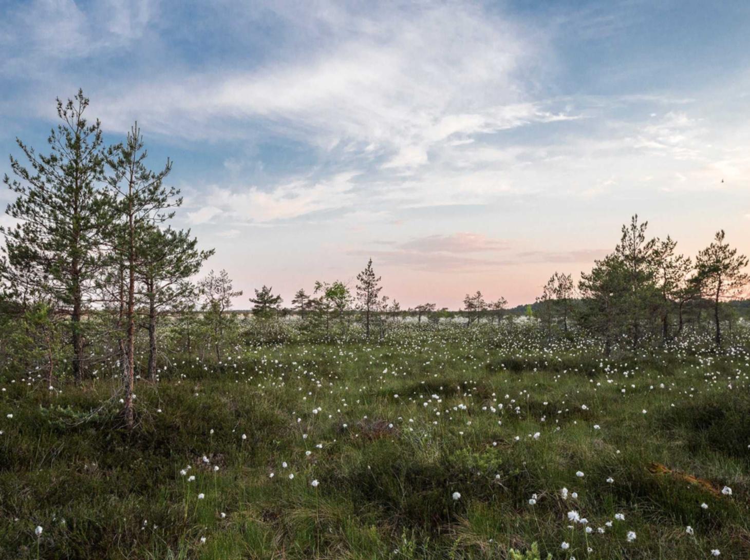 技术支持软件是否被用于新游戏和复古游戏之间的转化?