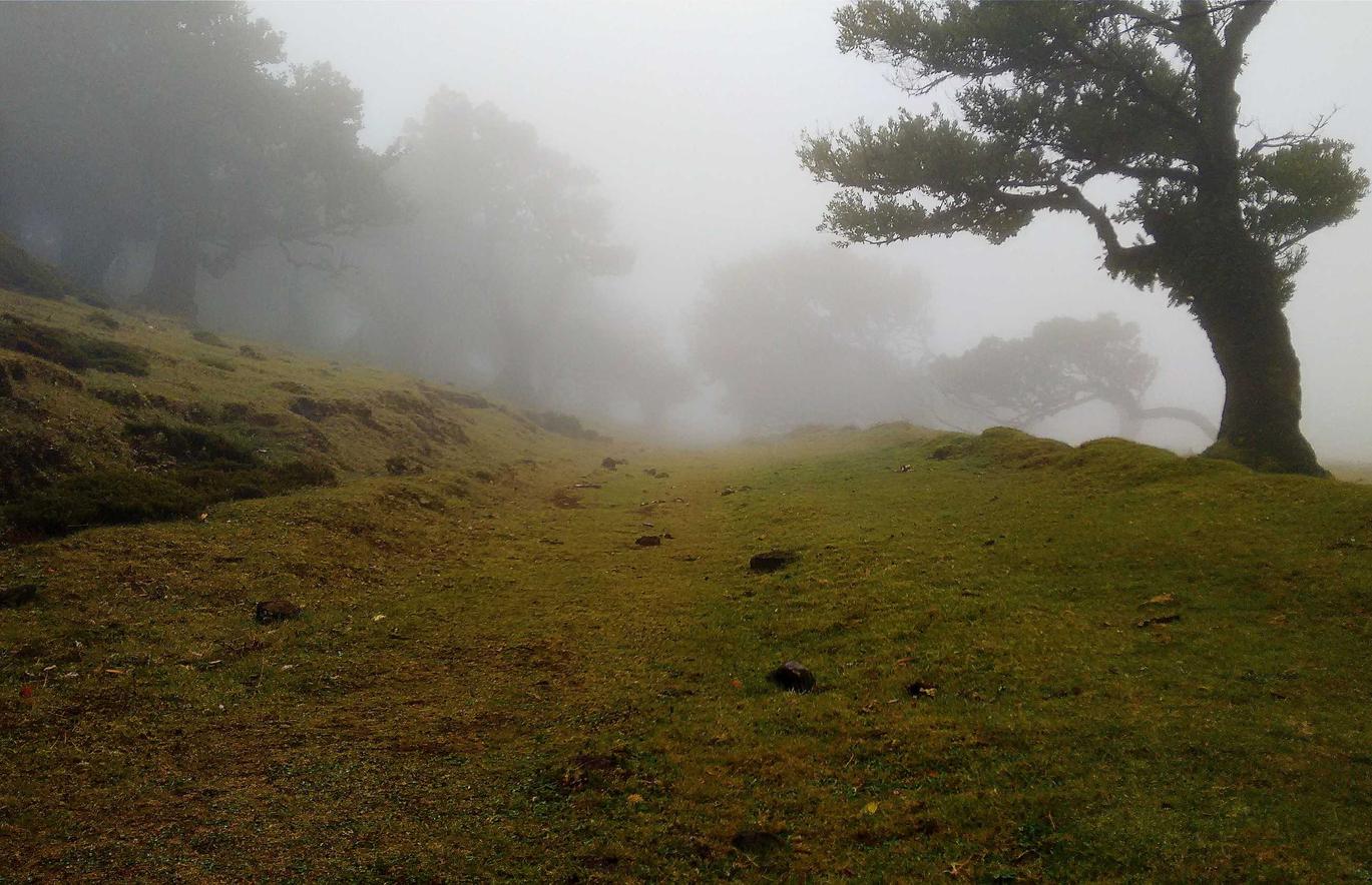 张掖代理工商注册电话号码